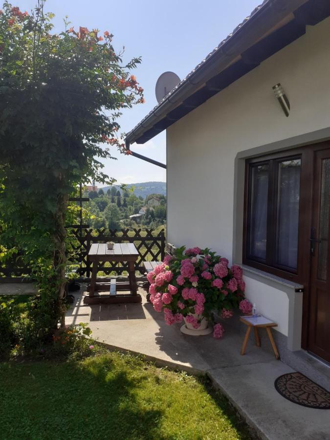 Apartment Petra i Nikola Seliste Dreznicko Bagian luar foto