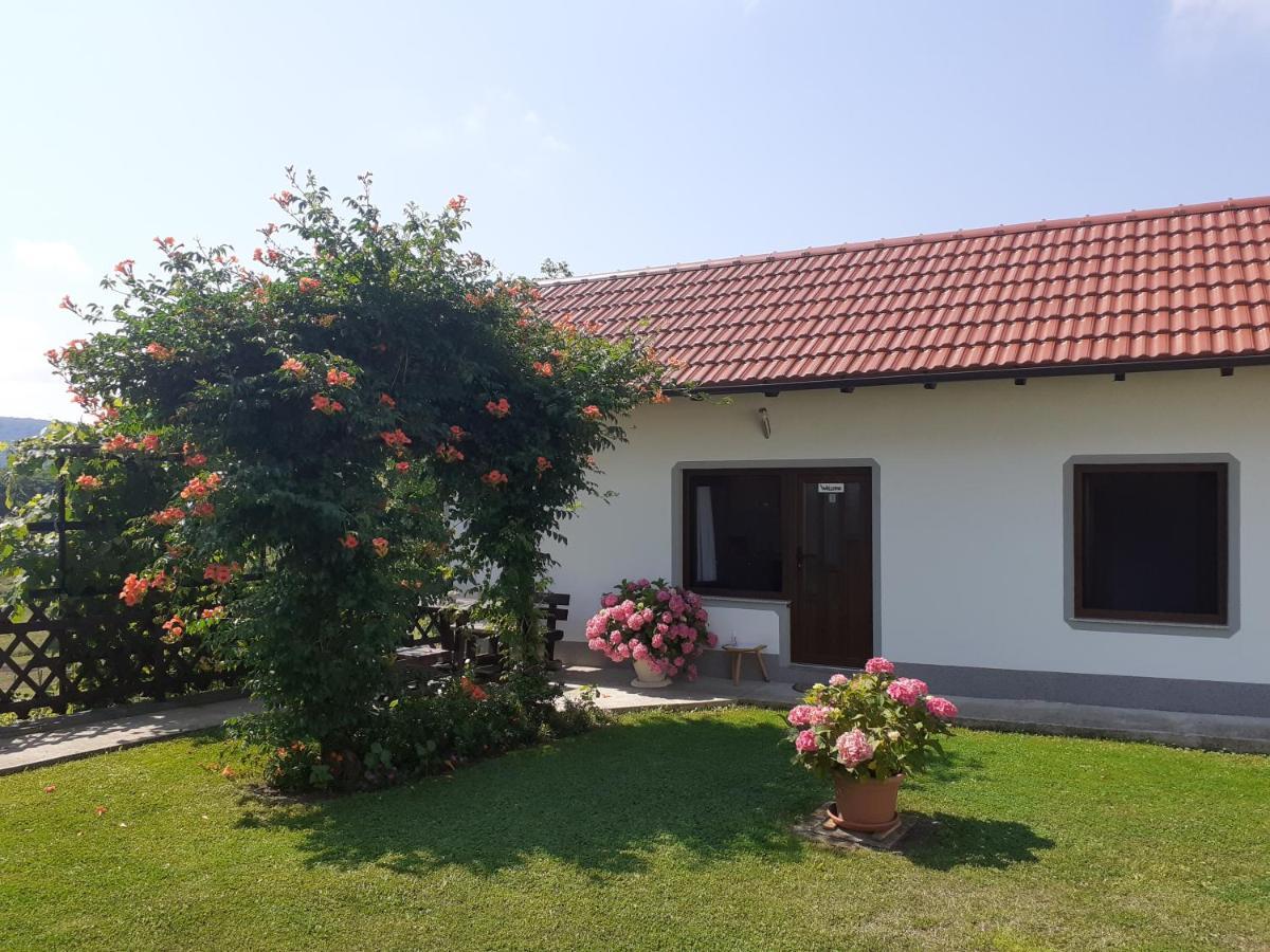 Apartment Petra i Nikola Seliste Dreznicko Bagian luar foto