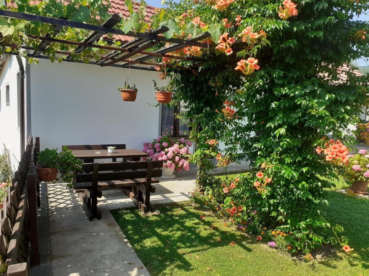 Apartment Petra i Nikola Seliste Dreznicko Bagian luar foto