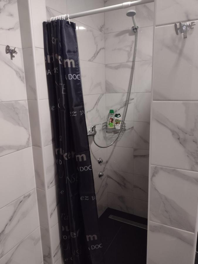Apartment Petra i Nikola Seliste Dreznicko Bagian luar foto