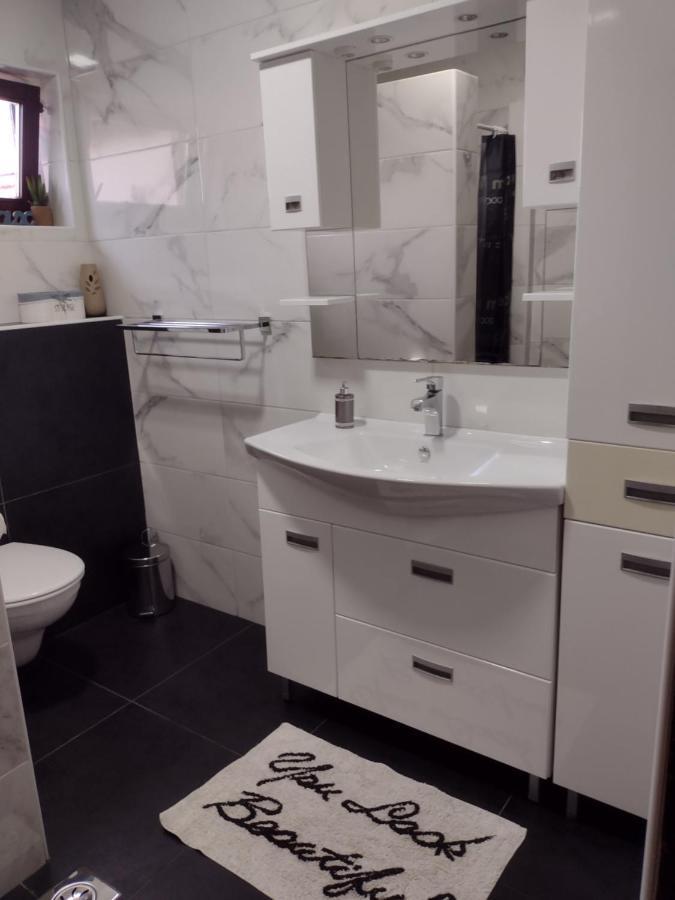 Apartment Petra i Nikola Seliste Dreznicko Bagian luar foto
