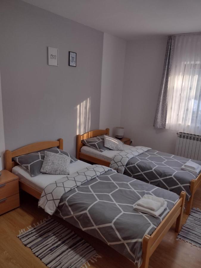 Apartment Petra i Nikola Seliste Dreznicko Bagian luar foto
