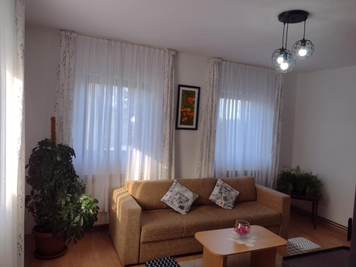 Apartment Petra i Nikola Seliste Dreznicko Bagian luar foto