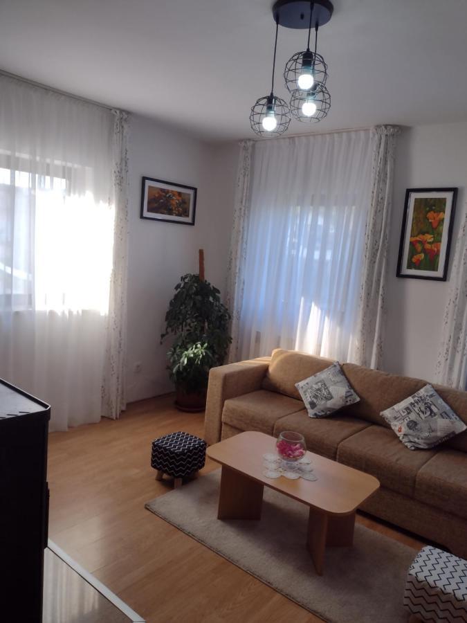 Apartment Petra i Nikola Seliste Dreznicko Bagian luar foto