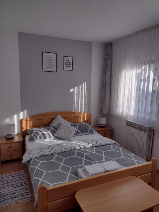 Apartment Petra i Nikola Seliste Dreznicko Bagian luar foto