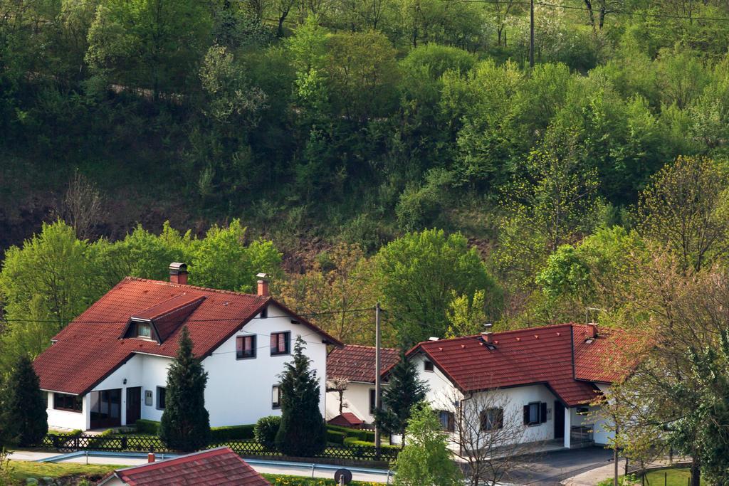 Apartment Petra i Nikola Seliste Dreznicko Bagian luar foto