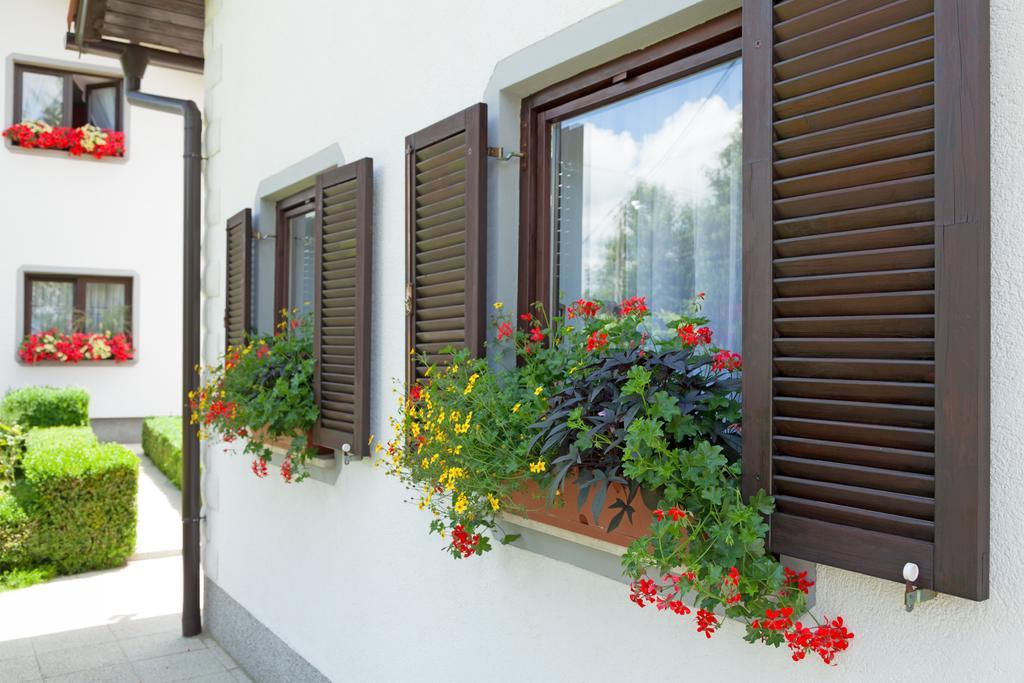 Apartment Petra i Nikola Seliste Dreznicko Bagian luar foto
