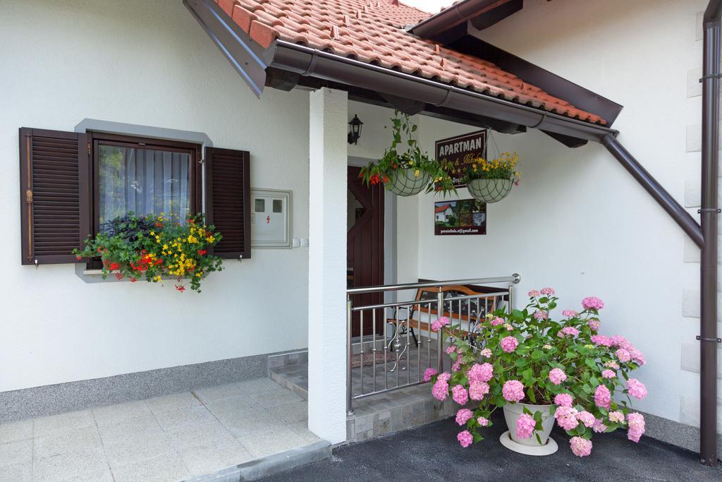 Apartment Petra i Nikola Seliste Dreznicko Bagian luar foto