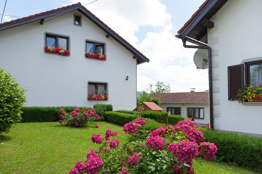 Apartment Petra i Nikola Seliste Dreznicko Bagian luar foto