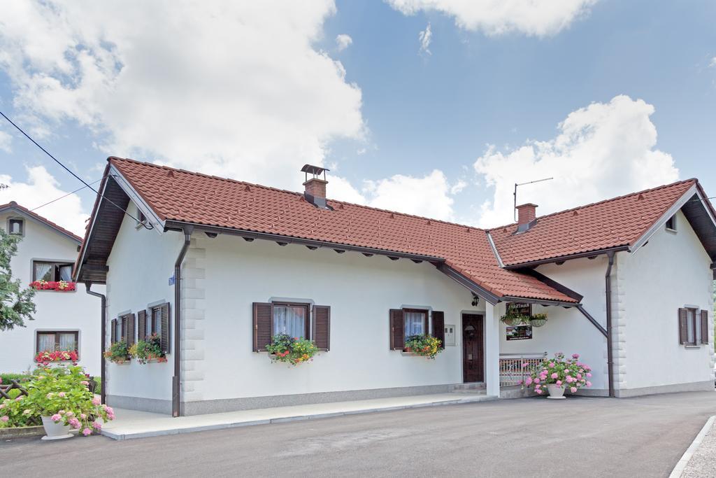 Apartment Petra i Nikola Seliste Dreznicko Bagian luar foto