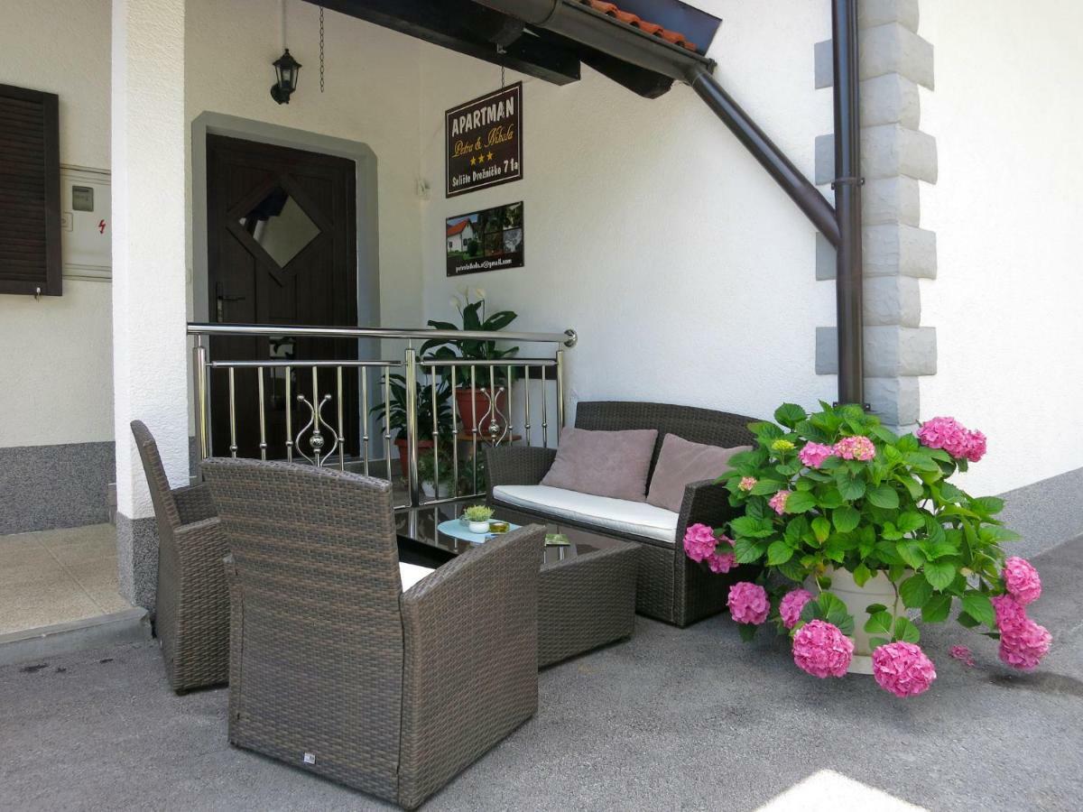 Apartment Petra i Nikola Seliste Dreznicko Bagian luar foto