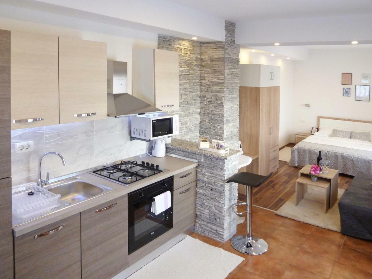 Apartment Petra i Nikola Seliste Dreznicko Bagian luar foto