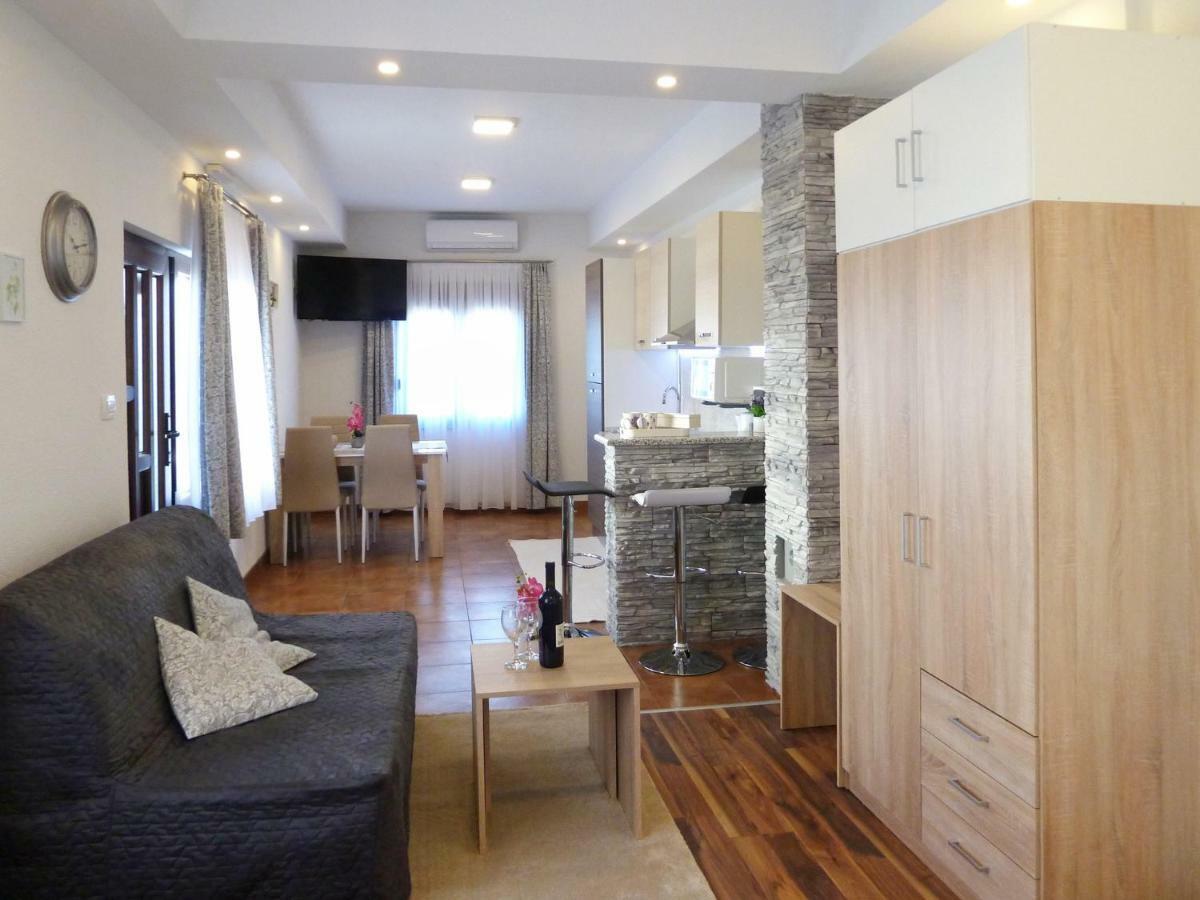 Apartment Petra i Nikola Seliste Dreznicko Bagian luar foto